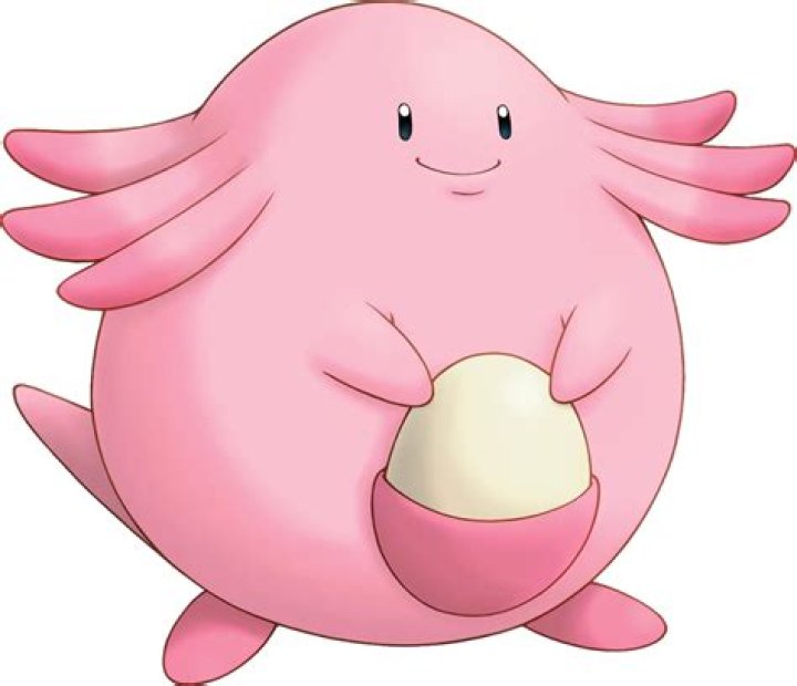 Chansey Pokemon