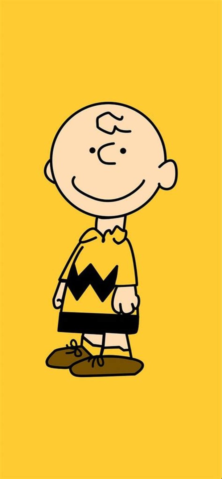 Charlie Brown Picture