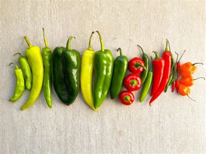 chilli pepper chilli pepper