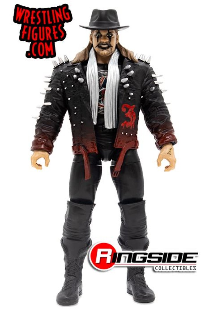 Chris Jericho Pic