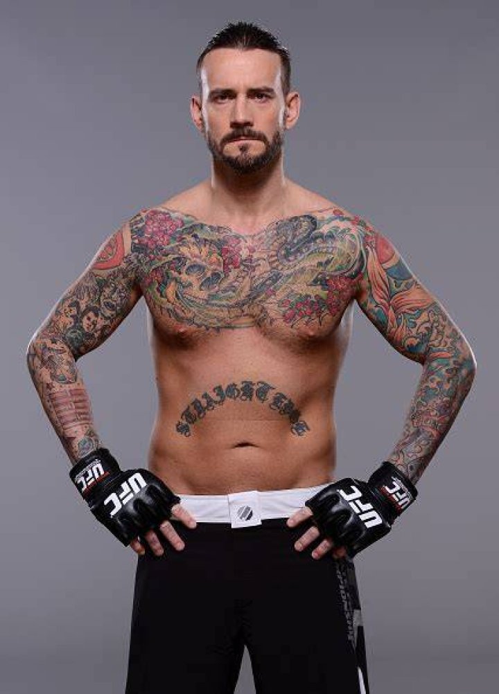 CM Punk in UFC