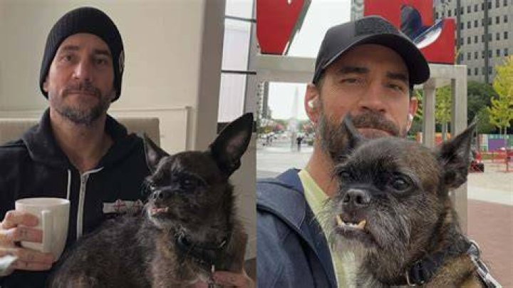 CM Punk’s Dog Once Again Stands in the Way of a Shocking WWE Return: “I’ve
Cancelled Things Coming Up”