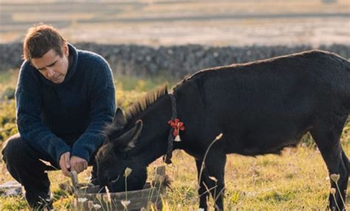 Colin Farrell and a donkey walk across a field in The Banshees Of Inisherin