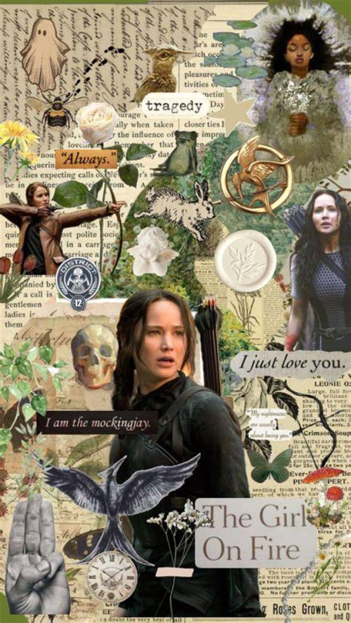 Collage of Katniss and Tris