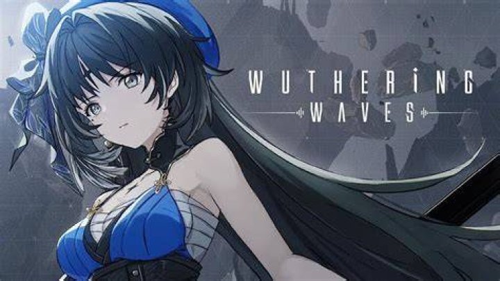 Create A Wuthering Waves Playable Character Tier List, 49 OFF