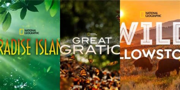 Crocodile Fan Casting for Wild Nature (Documentary Series) | myCast
