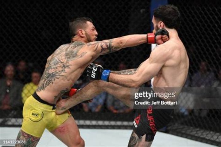 Cub Swanson Exchange