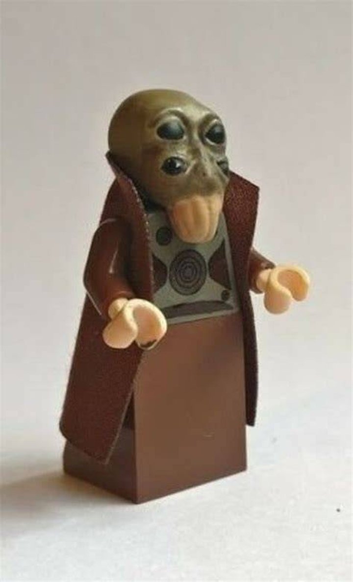 CUSTOM Lego Star Wars Po Nudo male Aqualish Etsy UK