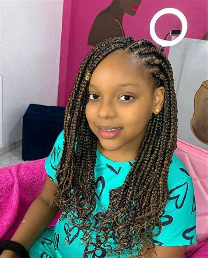 Cute Box Braids Hairstyles You Will Love New Natural Hairstyles