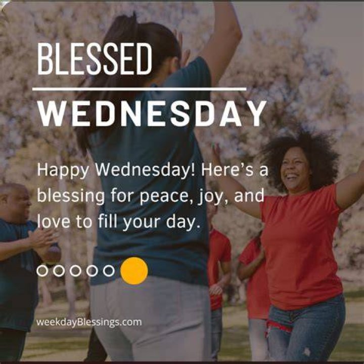 Cute Tuesday: Embracing The Joy Of Midweek Happiness