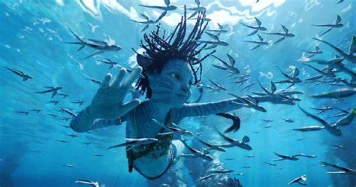 Darnell in the water in Survivor