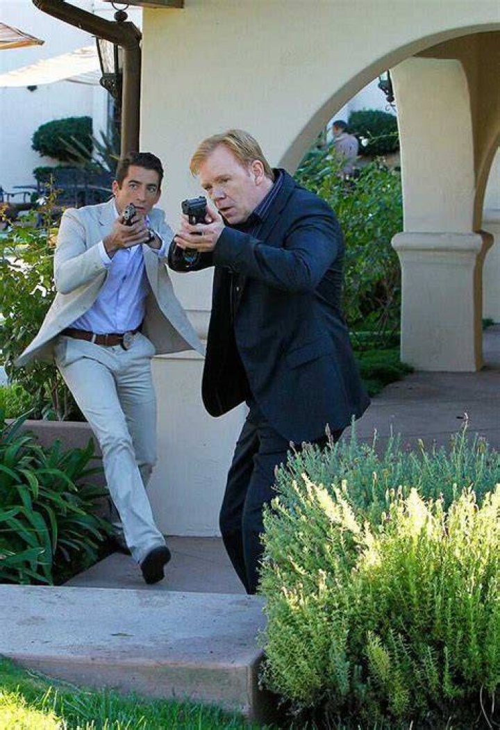 David Caruso bio Spouse, net worth, children, where is he now? Legit.ng