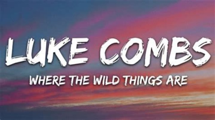 Did Luke Combs Write Where The Wild Things Are? Truth Revealed David