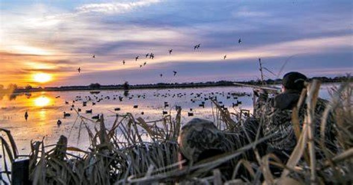 Discover The Wonders Of Hatchie National Wildlife Refuge