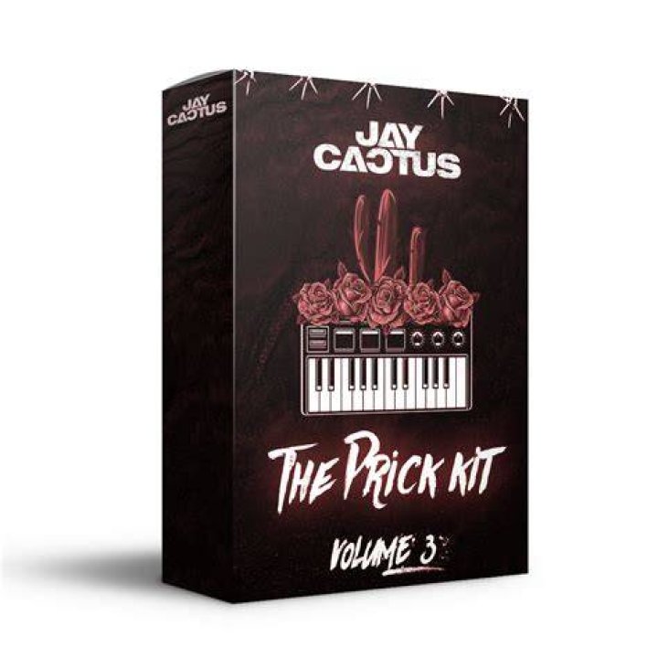Discovering The Allure Of Jay Cactus: The Crate Collection