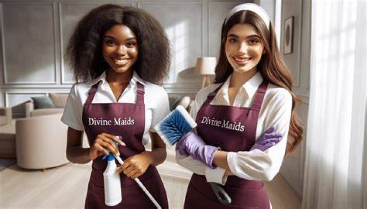 Discovering The Allure Of Sexy Maid Services
