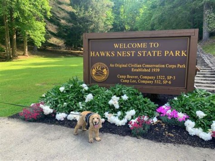 Discovering The Beauty Of Hawks Nest Lodge