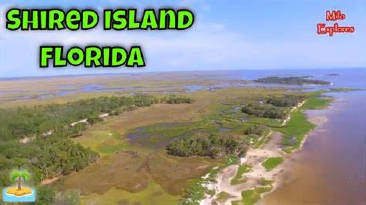 Discovering The Charm Of Shired Island, FL