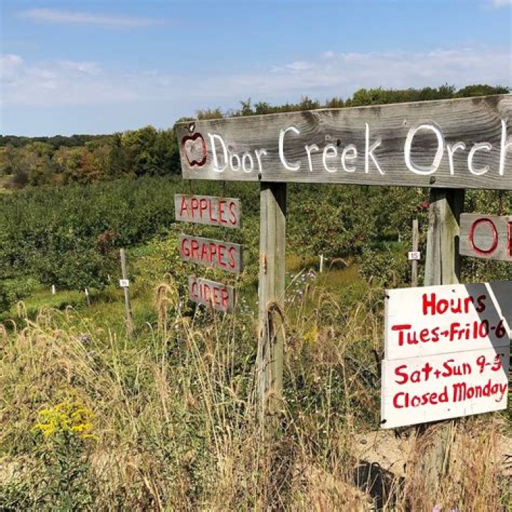 Discovering The Hidden Gems Of Door Creek Orchard