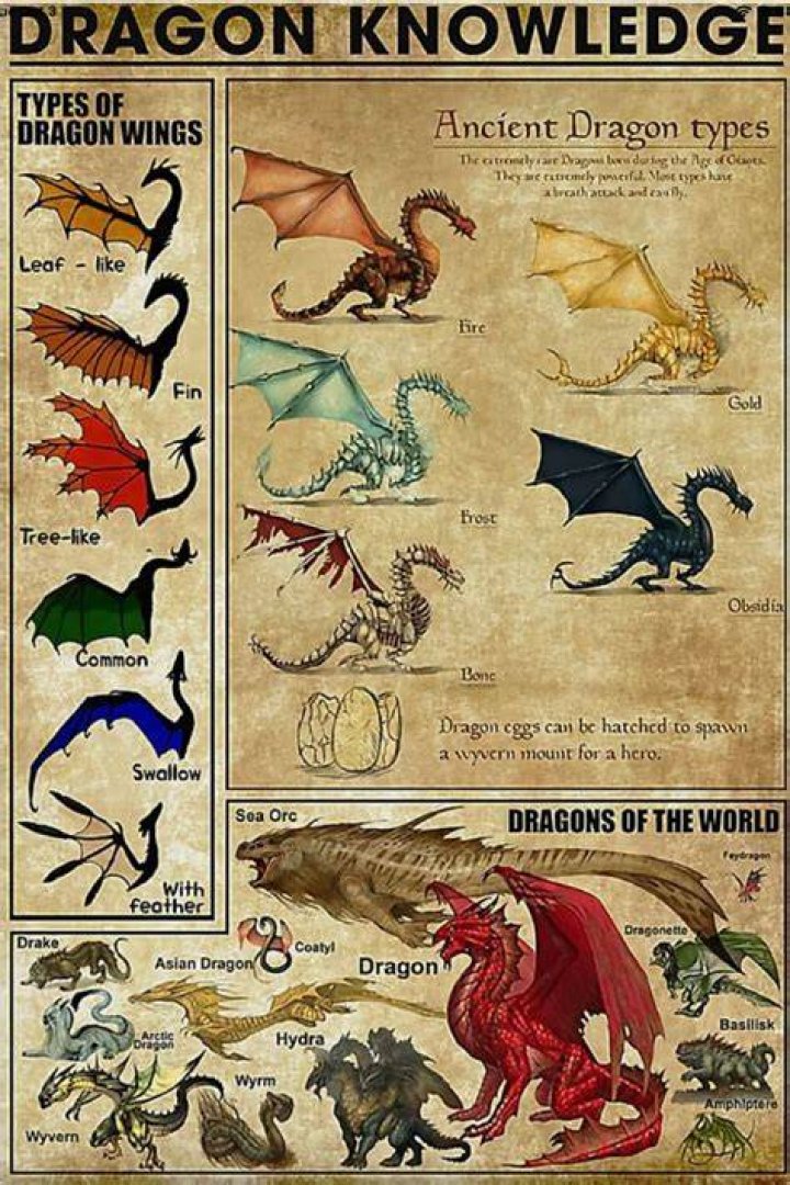 DND All Dragon Types True Lesser Explained