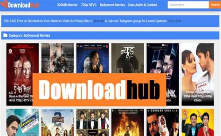 Downloadhub 2021 300 MB Latest Bollywood Movies Download