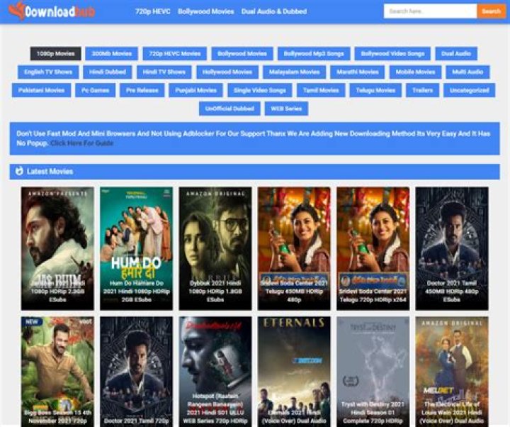 DownloadHub 2021 Download Full Movie Dual Audio 480p,720p,1080p HD For