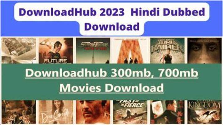 Downloadhub 300MB Dual Audio Bollywood Movies Download