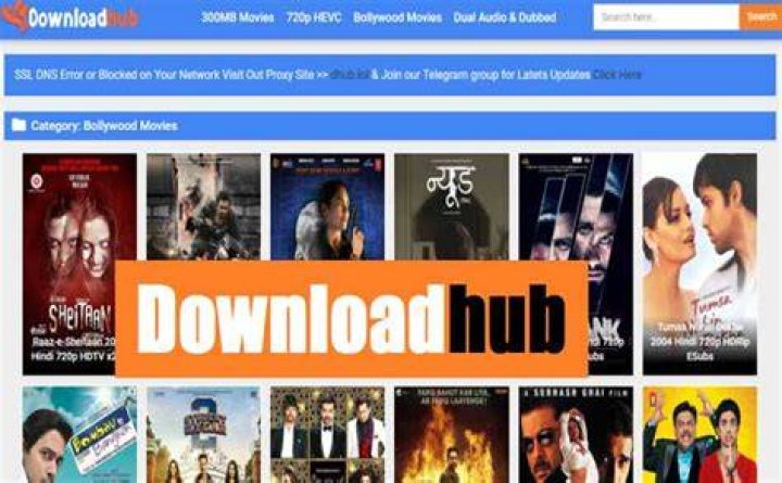 DownloadHub Best Site To Download Latest Movies TechPanga