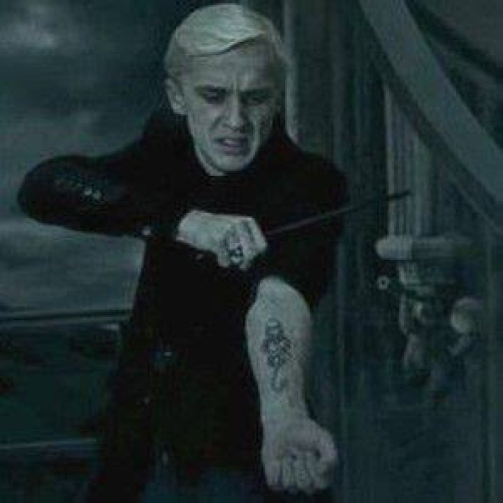 Draco with Dark Mark