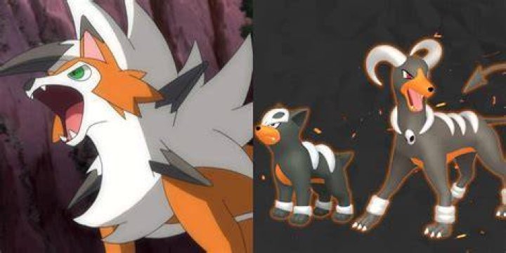 Dual photo of Lycanroc next to Houndour and Houndoom