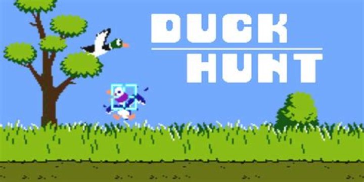 duckhunt
