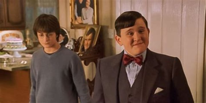 Dudley and Harry in the Deathly Hallows