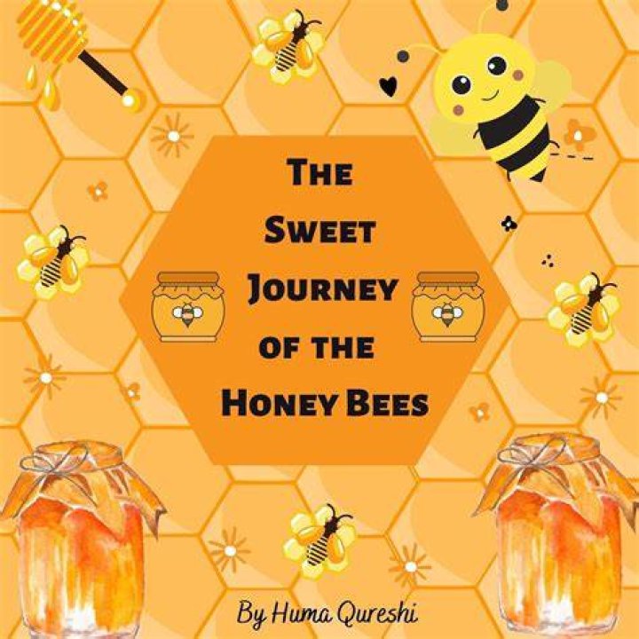 Dulce En Ingles: The Sweet Journey Through Language And Culture
