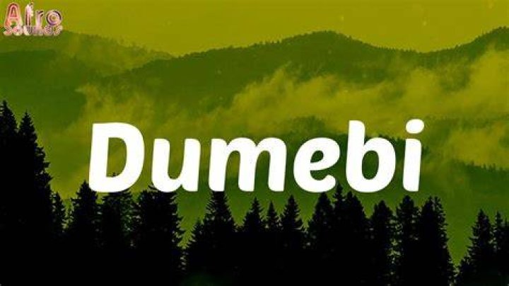 Dumebi Lyrics: A Deep Dive Into Rema's Hit Song