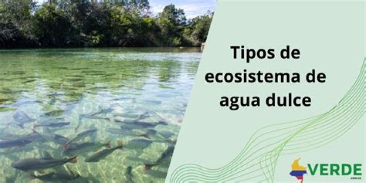 Ecosistemas de agua dulce en ingles