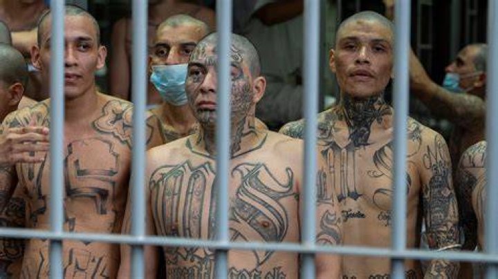 El Salvador destroys gang members' gravestones