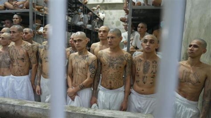 El Salvador mega-prison: Shocking images show 2000 new inmates being moved into facility