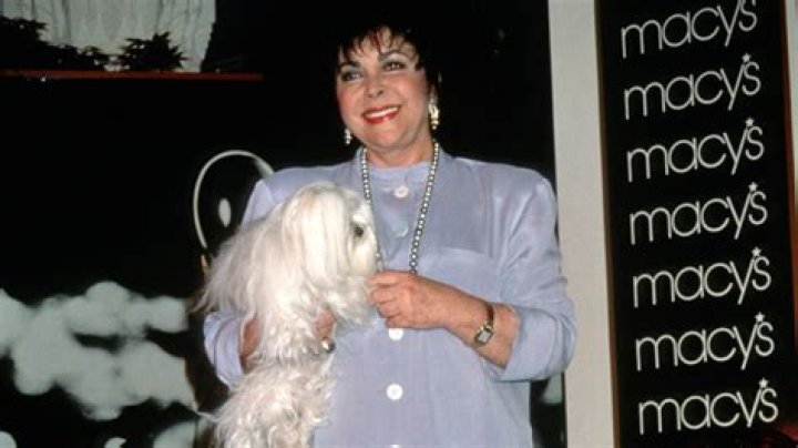 Elizabeth Taylor's Death Sparked A Custody Battle Over One Of Her Furry Friends
