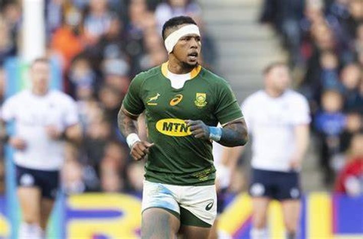 Elton Jantjies biography Elton Jantjies biography