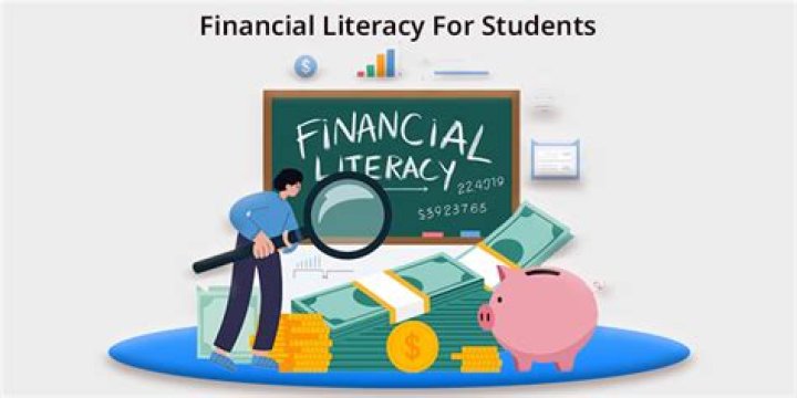 Emoneu: The Future Of Financial Literacy And Management