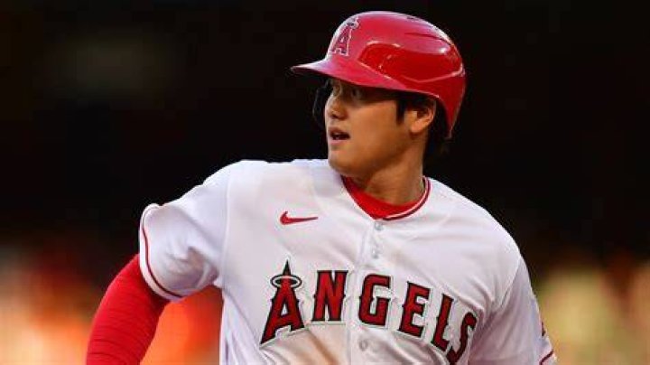 Everything to Know About Japanese Wonder Shohei Ohtani’s Family