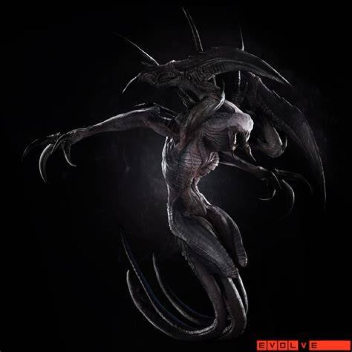 evolve wraith 8