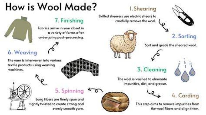 Exploring Brazilian Wool: The Ultimate Guide To Its Benefits And Uses