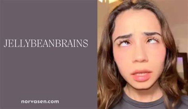 Exploring Jellybeanbrains: A Deep Dive Into The Colorful World Of Jellybean Artistry