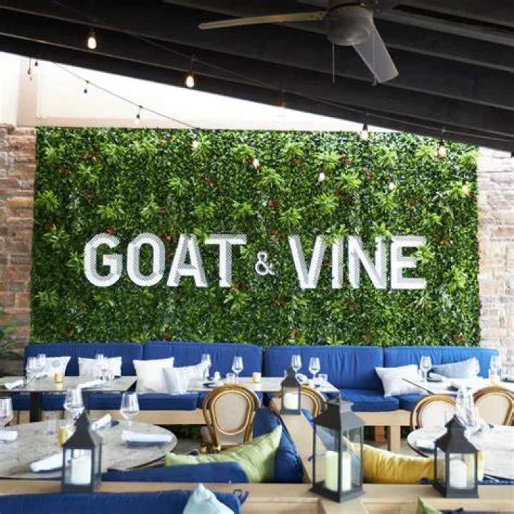 Exploring The Charm Of Goat And Vine