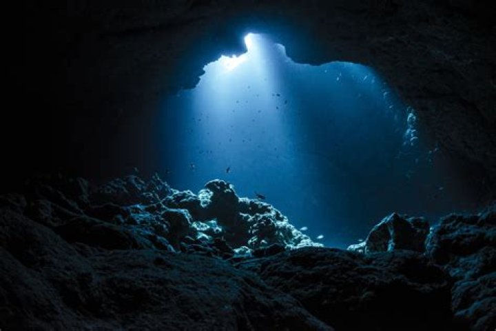Exploring The Depths Of 