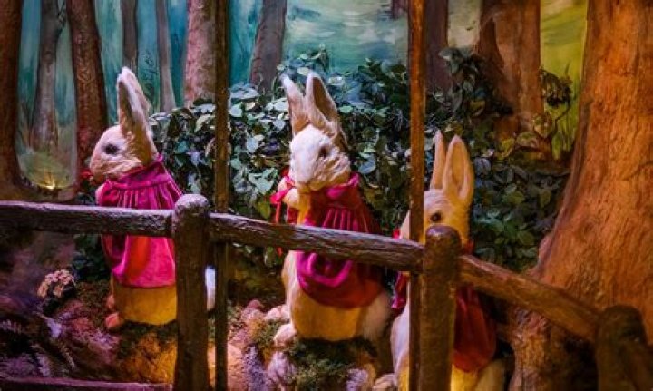 Exploring The Enchanting World Of Lilo's House Inside