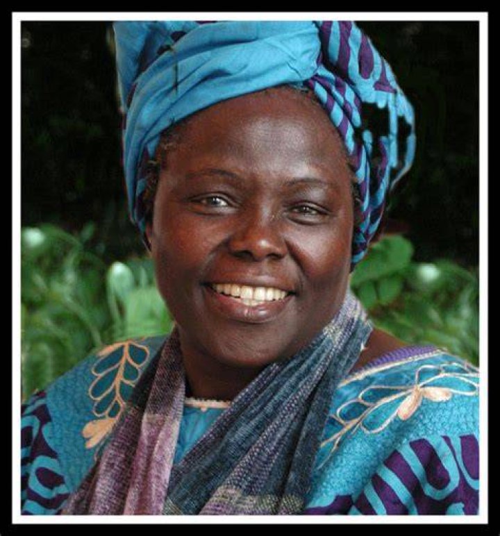 Exploring The Life And Achievements Of Janet Gayle