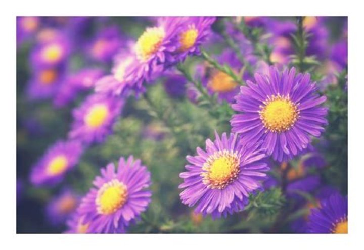 Facebook Free Stock Photo Public Domain Pictures