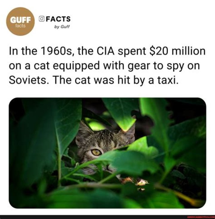 FACTS by Guff In the late 1980s, Pablo Escobar reportedly offered to